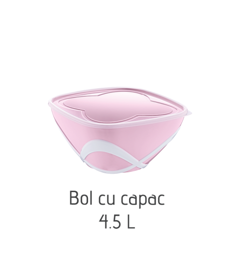 Bol cu capac AK397, 4.5 L