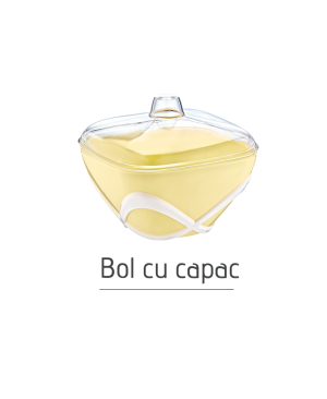 Bol cu capac AK460