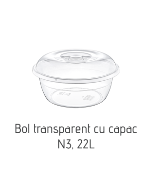 Bol transparent cu capac N3 AK429, 22 L