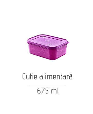 Cutie alimentară AK547, 675 ml