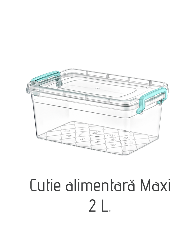 Cutie alimentară Maxi AK253, 2 L