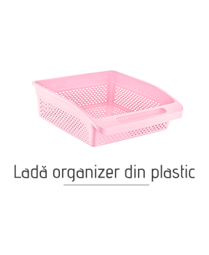 Ladă organizer din plastic AK517