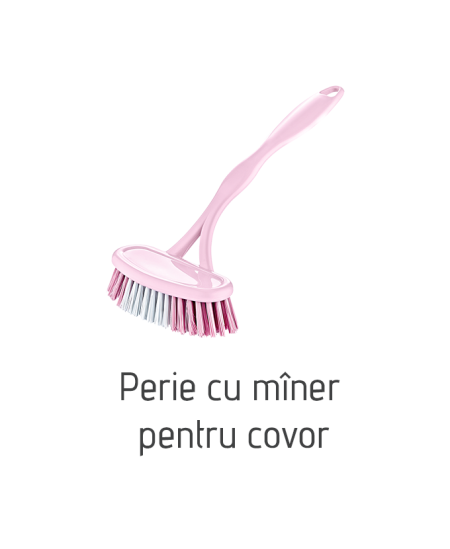Perie cu mîner pentru covor