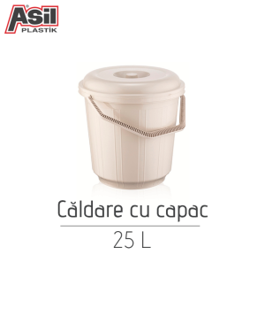 Căldare cu capac Asil441, 25 L