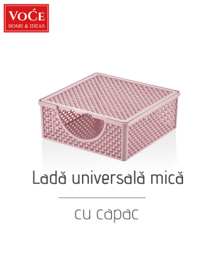 Cutie cu capac mică pentru depozitare VC063