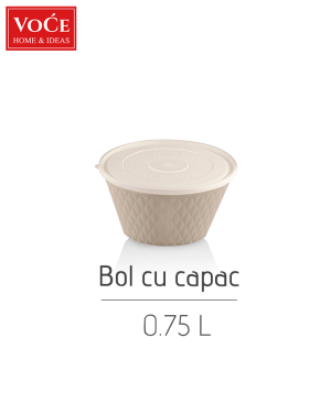Bol din plastic cu capac VC210, 0.75L