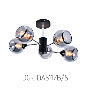 Corp de iluminat DGY DA5117B/5